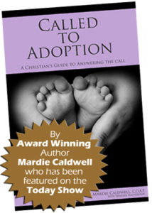 Called to Adoption Book